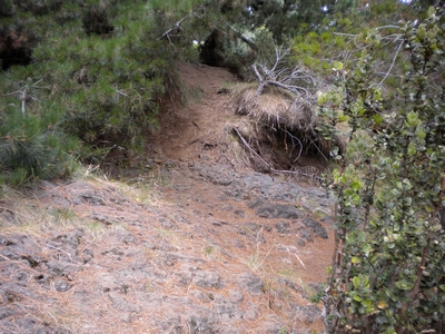 Yes this is the Waiakoa Trail in Maui Hawaii