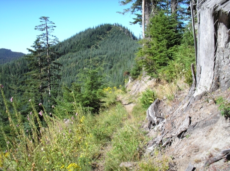 Cinnamon Ridge Trail 204