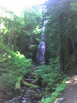 Hidden Falls on the Tarbell Trail